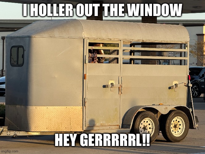 Texas style pimp | I HOLLER OUT THE WINDOW; HEY GERRRRRL!! | image tagged in texas,pimp,horse,trailer,hey girl,sexy | made w/ Imgflip meme maker