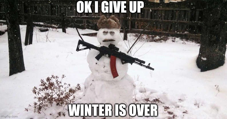 SNOW SEIZE FIRE | OK I GIVE UP; WINTER IS OVER | image tagged in snow,winter,spring,snowman | made w/ Imgflip meme maker