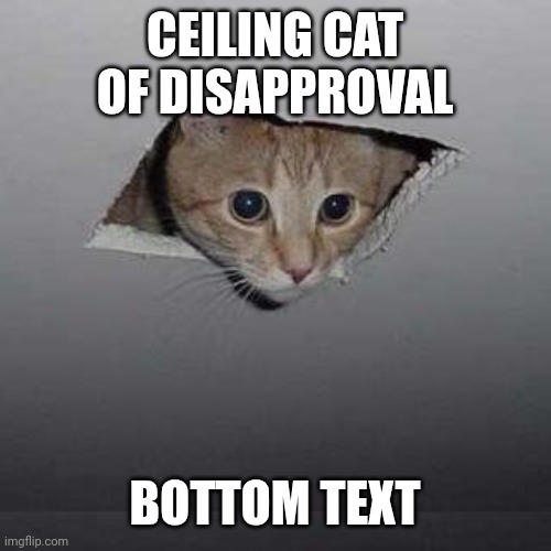 CEILING CAT OF DISAPPROVAL BOTTOM TEXT | image tagged in memes,ceiling cat | made w/ Imgflip meme maker