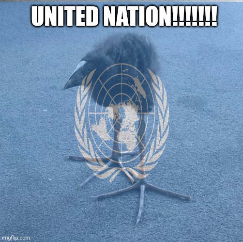 UNITED NATION!!!!!!! | made w/ Imgflip meme maker