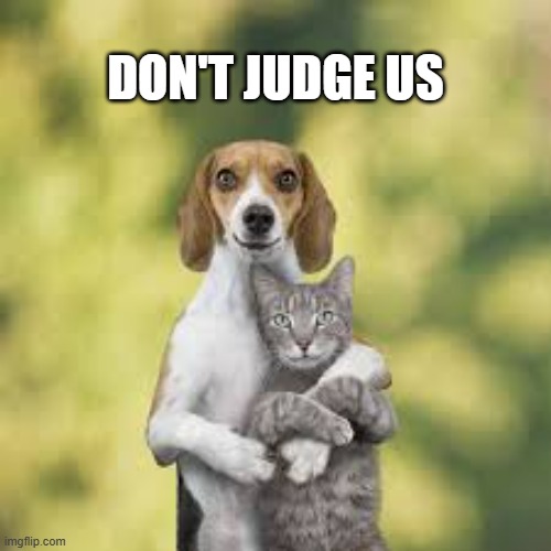 memes by Brad - Cat and dog are together. Don't judge them - funny - | DON'T JUDGE US | image tagged in cats,dogs,kitten,funny,couples,humor | made w/ Imgflip meme maker