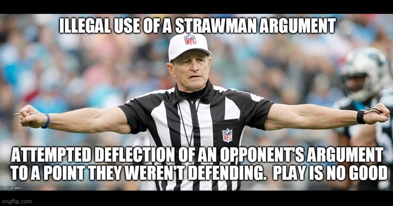 Strawman fallacy referee | image tagged in logical fallacy referee | made w/ Imgflip meme maker