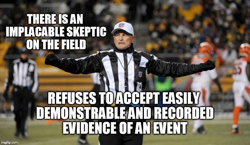 Implacable skeptic fallacy referee | image tagged in logical fallacy referee | made w/ Imgflip meme maker