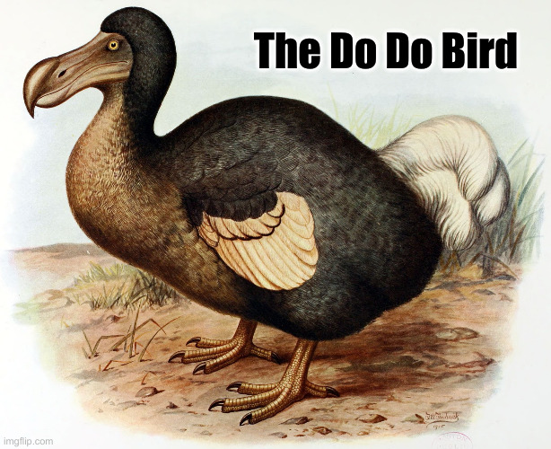 If The Democrat Party Was A Bird | The Do Do Bird | image tagged in dodo bird,political meme,politics,funny memes,funny | made w/ Imgflip meme maker