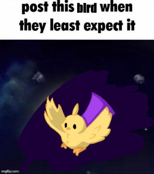 later losers | bird | image tagged in post this waddle dee when they least expect it | made w/ Imgflip meme maker