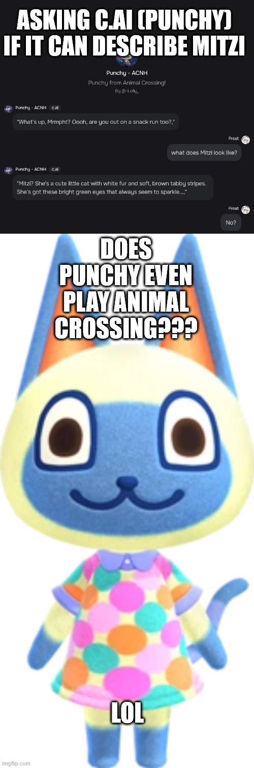 Asking C.ai if it can describe Mitzi... And thats not what Mitzi looks like clearly... | ASKING C.AI (PUNCHY) IF IT CAN DESCRIBE MITZI; DOES PUNCHY EVEN PLAY ANIMAL CROSSING??? LOL | image tagged in meow,animal crossing | made w/ Imgflip meme maker