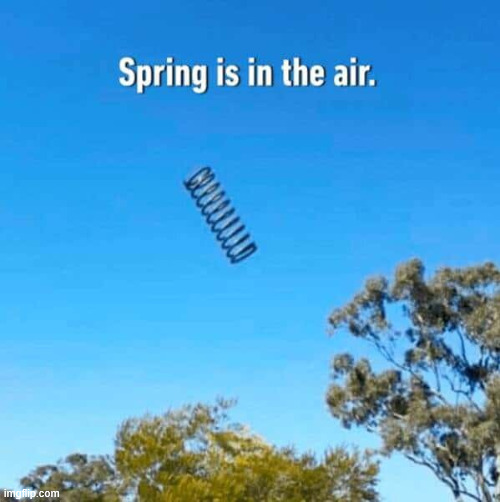 Spring is in the air | image tagged in repost,spring is in the air | made w/ Imgflip meme maker