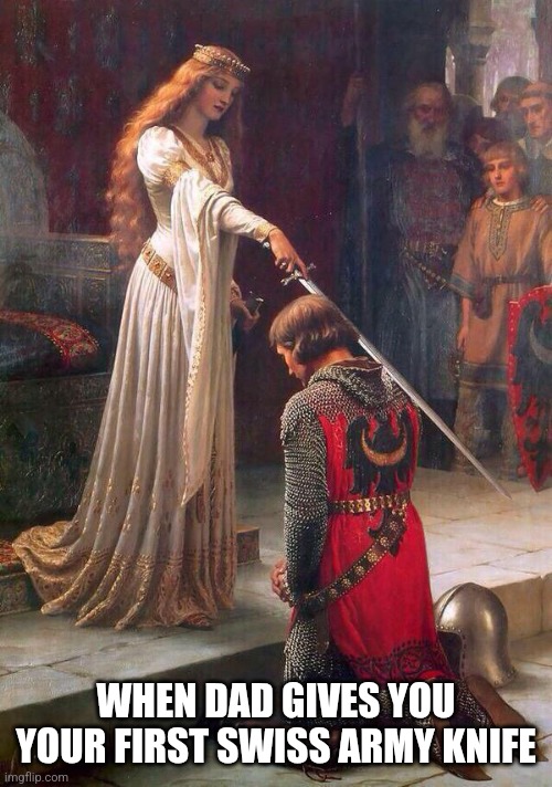 Knighting  | WHEN DAD GIVES YOU YOUR FIRST SWISS ARMY KNIFE | image tagged in knighting,dad,family | made w/ Imgflip meme maker