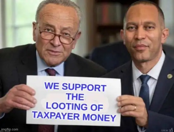 Democrats and their Democracy vs We The People | image tagged in taxes,looting,money,thieves,government corruption,evil government | made w/ Imgflip meme maker