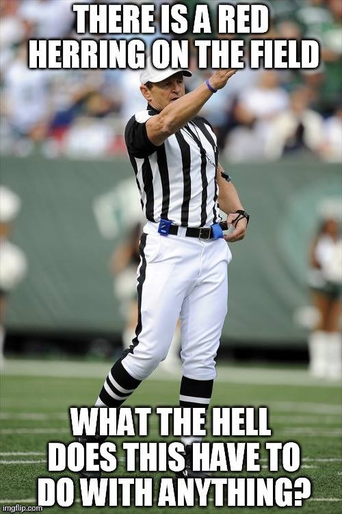 Red Herring fallacy referee | made w/ Imgflip meme maker