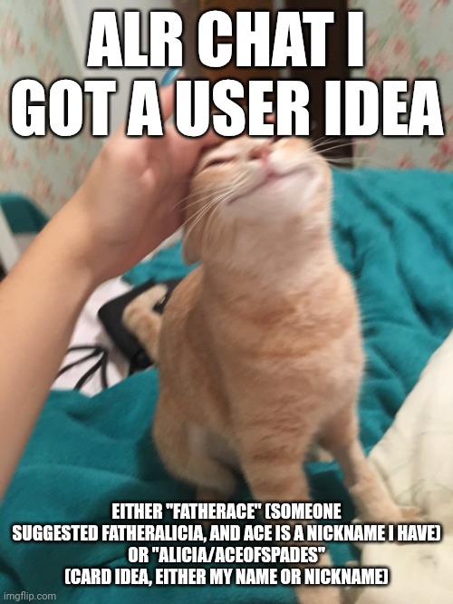 I like both | ALR CHAT I GOT A USER IDEA; EITHER "FATHERACE" (SOMEONE SUGGESTED FATHERALICIA, AND ACE IS A NICKNAME I HAVE)
OR "ALICIA/ACEOFSPADES" (CARD IDEA, EITHER MY NAME OR NICKNAME) | image tagged in cat pat | made w/ Imgflip meme maker