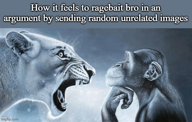 tiger yell at pondering monkey | How it feels to ragebait bro in an argument by sending random unrelated images | image tagged in tiger yell at pondering monkey | made w/ Imgflip meme maker