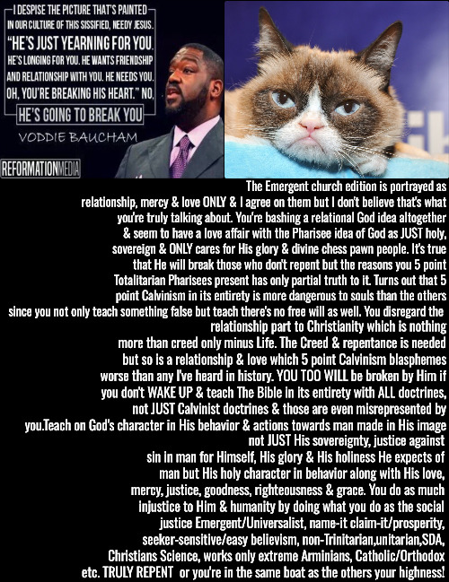 You're Just As Guilty Voddie | The Emergent church edition is portrayed as relationship, mercy & love ONLY & I agree on them but I don't believe that's what you're truly talking about. You're bashing a relational God idea altogether & seem to have a love affair with the Pharisee idea of God as JUST holy, sovereign & ONLY cares for His glory & divine chess pawn people. It's true that He will break those who don't repent but the reasons you 5 point Totalitarian Pharisees present has only partial truth to it. Turns out that 5 point Calvinism in its entirety is more dangerous to souls than the others since you not only teach something false but teach there's no free will as well. You disregard the; relationship part to Christianity which is nothing more than creed only minus Life. The Creed & repentance is needed but so is a relationship & love which 5 point Calvinism blasphemes worse than any I've heard in history. YOU TOO WILL be broken by Him if you don't WAKE UP & teach The Bible in its entirety with ALL doctrines, not JUST Calvinist doctrines & those are even misrepresented by you.Teach on God's character in His behavior & actions towards man made in His image; not JUST His sovereignty, justice against sin in man for Himself, His glory & His holiness He expects of man but His holy character in behavior along with His love, mercy, justice, goodness, righteousness & grace. You do as much injustice to Him & humanity by doing what you do as the social justice Emergent/Universalist, name-it claim-it/prosperity, seeker-sensitive/easy believism, non-Trinitarian,unitarian,SDA, Christians Science, works only extreme Arminians, Catholic/Orthodox etc. TRULY REPENT  or you're in the same boat as the others your highness! | image tagged in calvinism,arminian,molinism,reformed theology 5 point pastors,gnostic catholic pharisee heresy,robot corpse puppets | made w/ Imgflip meme maker