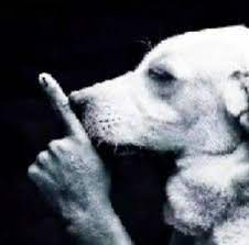 silent dog Blank Meme Template