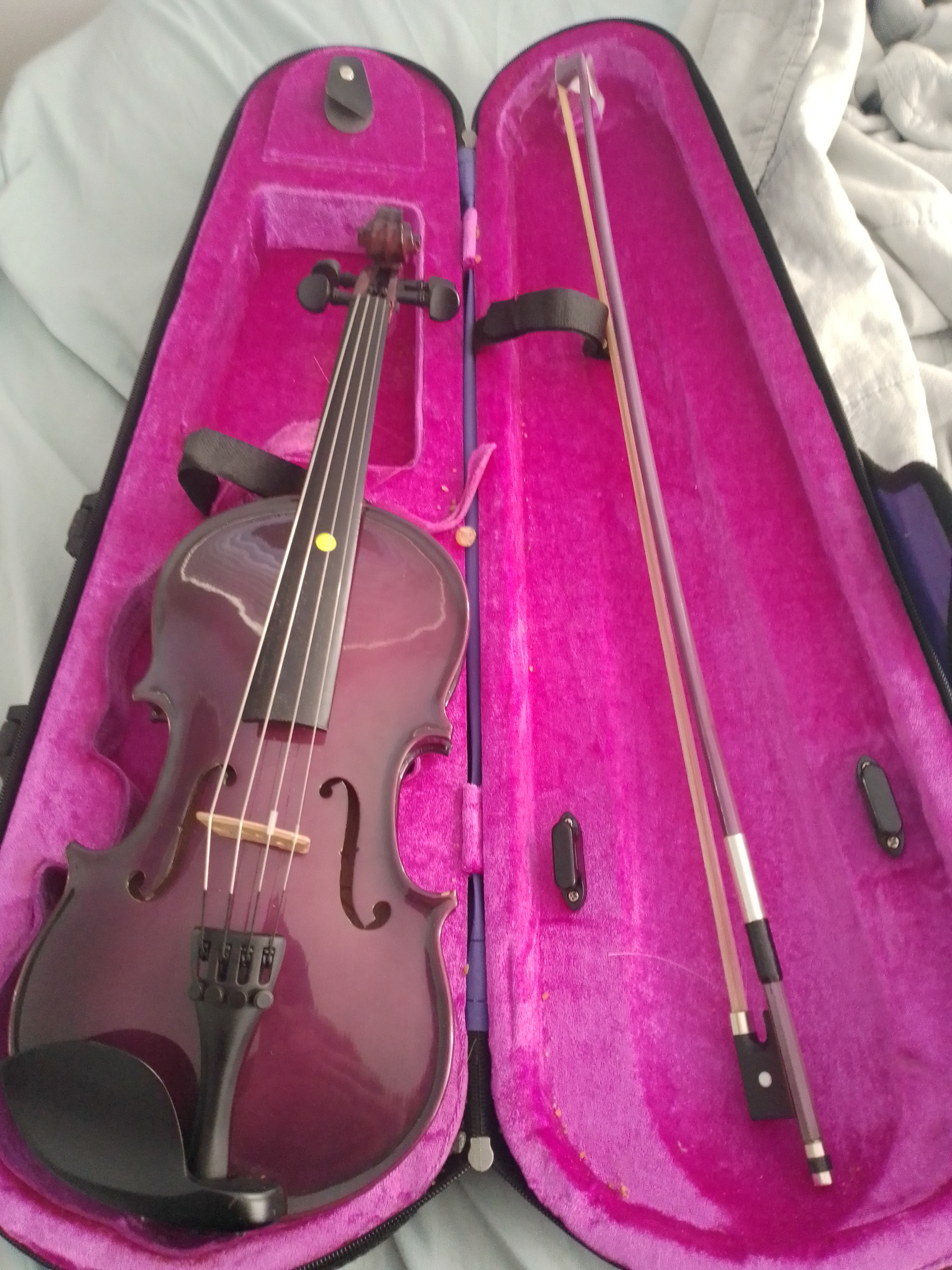 Purple violin Blank Meme Template