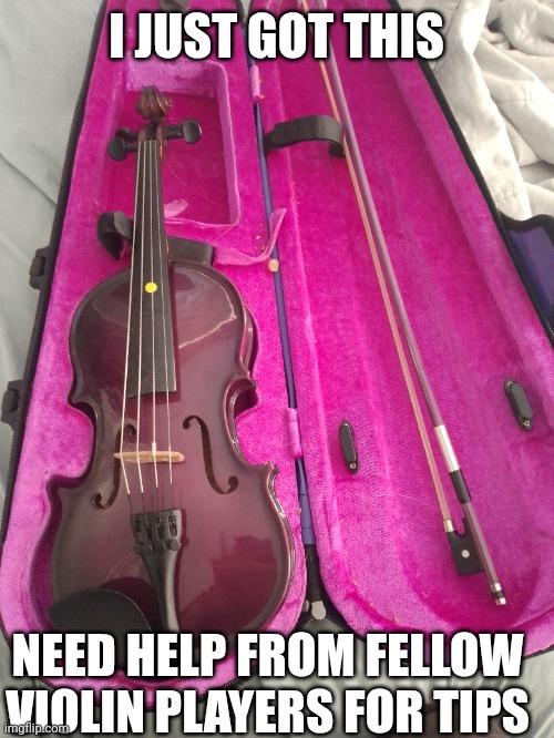 Need help | I JUST GOT THIS; NEED HELP FROM FELLOW VIOLIN PLAYERS FOR TIPS | image tagged in violin | made w/ Imgflip meme maker