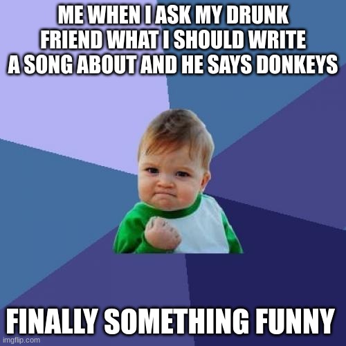 Do widzenia | ME WHEN I ASK MY DRUNK FRIEND WHAT I SHOULD WRITE A SONG ABOUT AND HE SAYS DONKEYS; FINALLY SOMETHING FUNNY | image tagged in memes,success kid | made w/ Imgflip meme maker