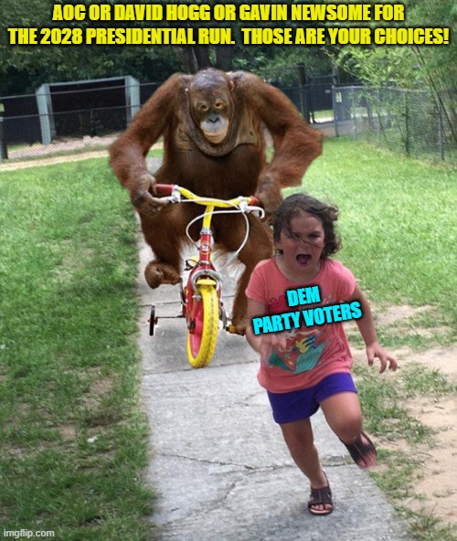 Yeah . . . it's indeed a grim future for Dem Party voters. | AOC OR DAVID HOGG OR GAVIN NEWSOME FOR THE 2028 PRESIDENTIAL RUN.  THOSE ARE YOUR CHOICES! DEM PARTY VOTERS | image tagged in orangutan chasing girl on a tricycle | made w/ Imgflip meme maker