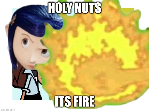 well its it Storybooth or not | HOLY NUTS; ITS FIRE | made w/ Imgflip meme maker