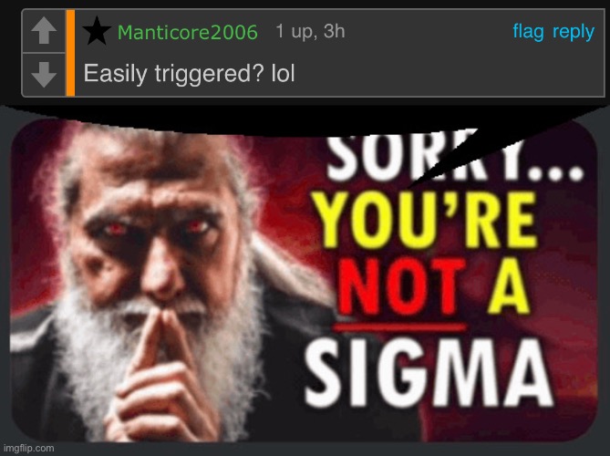 image tagged in sorry you re not a sigma | made w/ Imgflip meme maker