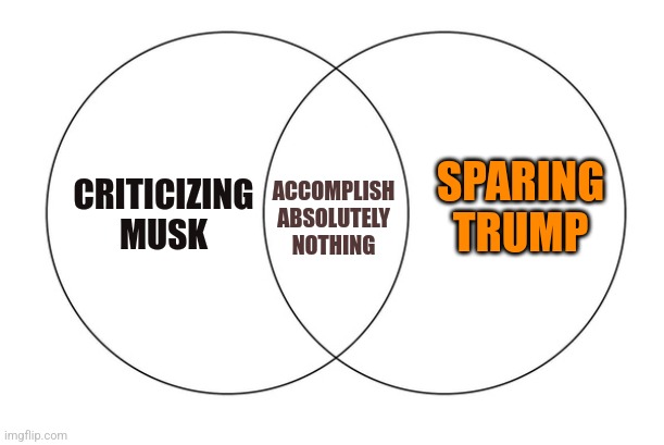 venn diagram | SPARING TRUMP; ACCOMPLISH ABSOLUTELY NOTHING; CRITICIZING MUSK | image tagged in venn diagram,beautiful,lol | made w/ Imgflip meme maker