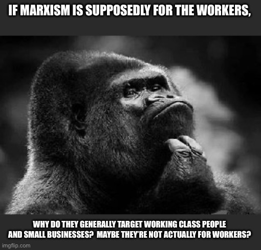 thinking monkey | IF MARXISM IS SUPPOSEDLY FOR THE WORKERS, WHY DO THEY GENERALLY TARGET WORKING CLASS PEOPLE AND SMALL BUSINESSES?  MAYBE THEY’RE NOT ACTUALLY FOR WORKERS? | image tagged in thinking monkey | made w/ Imgflip meme maker