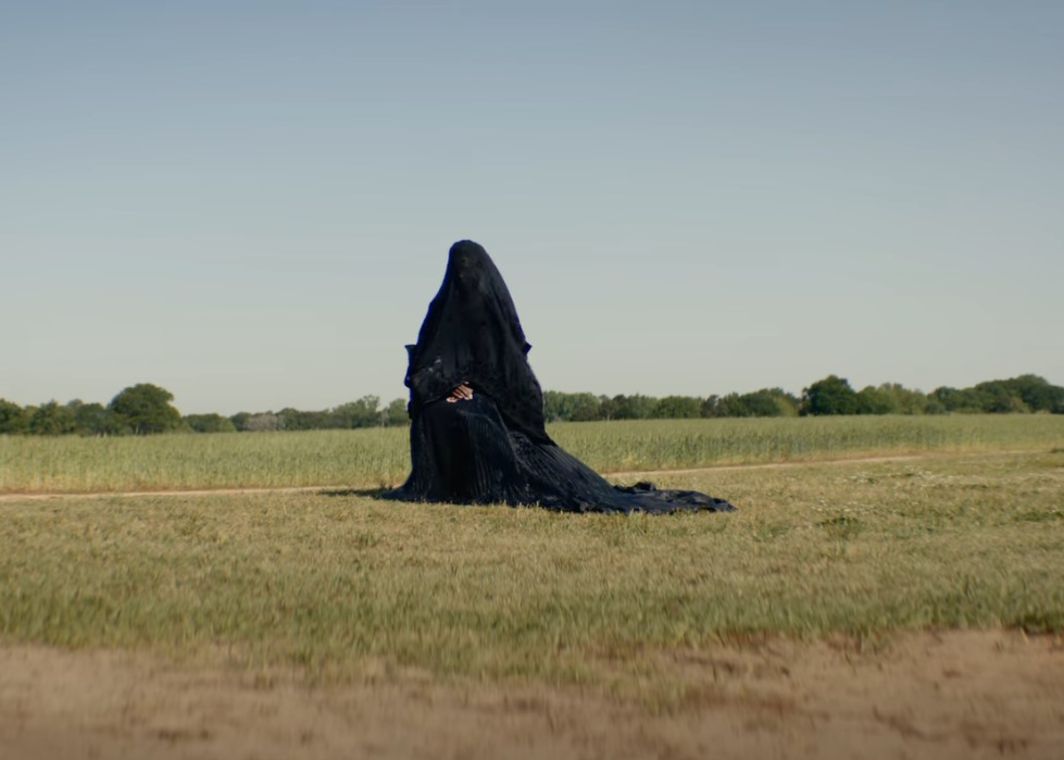 Woman in the Yard Blank Meme Template