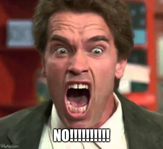 Arnold yelling | NO!!!!!!!!!! | image tagged in arnold yelling | made w/ Imgflip meme maker