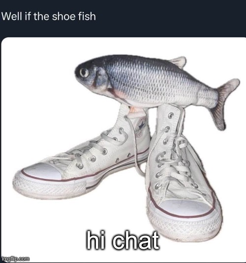 shoe fish | hi chat | image tagged in shoe fish | made w/ Imgflip meme maker