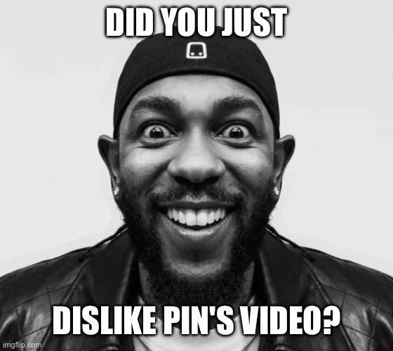 kdot jumpscare | DID YOU JUST; DISLIKE PIN'S VIDEO? | image tagged in kdot jumpscare | made w/ Imgflip meme maker