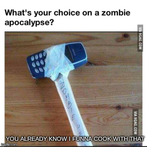 Bro easy win against zombies lol | YOU ALREADY KNOW I FUNNA COOK WITH THAT | image tagged in funny,memes,nokia 3310,zombie apocalypse | made w/ Imgflip meme maker