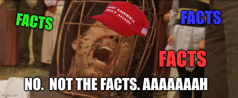 Not the bees | FACTS NO.  NOT THE FACTS. AAAAAAAH FACTS FACTS | image tagged in not the bees | made w/ Imgflip meme maker