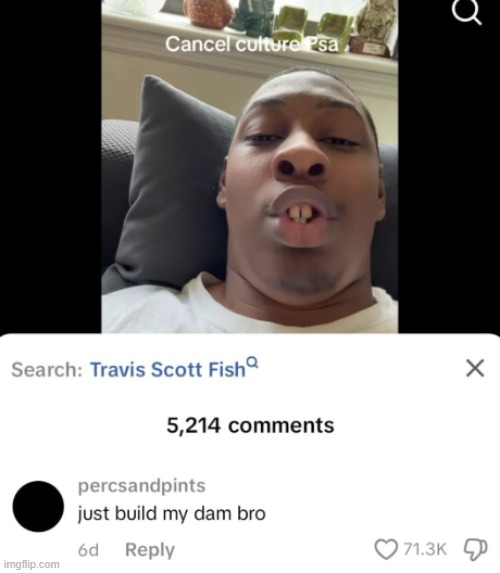 "search: travis scott fish" | image tagged in funny,memes,insult,tiktok,stop reading the tags | made w/ Imgflip meme maker