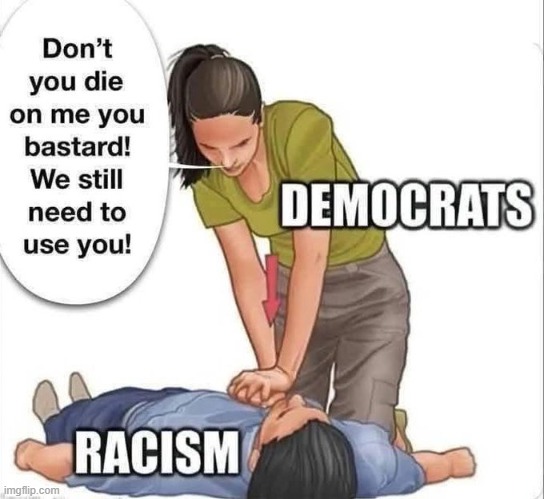 Racism is on life support and has been except w/ Democrats | image tagged in the truth,the truth hurts,democrats,racism,race card,liberals | made w/ Imgflip meme maker