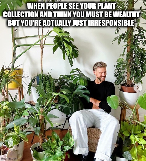 Jungle | WHEN PEOPLE SEE YOUR PLANT COLLECTION AND THINK YOU MUST BE WEALTHY BUT YOU'RE ACTUALLY JUST IRRESPONSIBLE | image tagged in plants | made w/ Imgflip meme maker