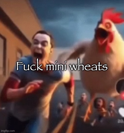 Gang shit part 3 | Fuck mini wheats | image tagged in sheldon cooper | made w/ Imgflip meme maker
