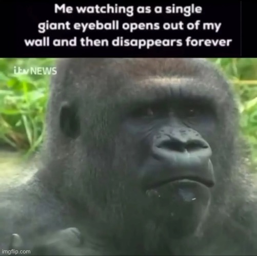 Forgot to take my schizo meds today | made w/ Imgflip meme maker