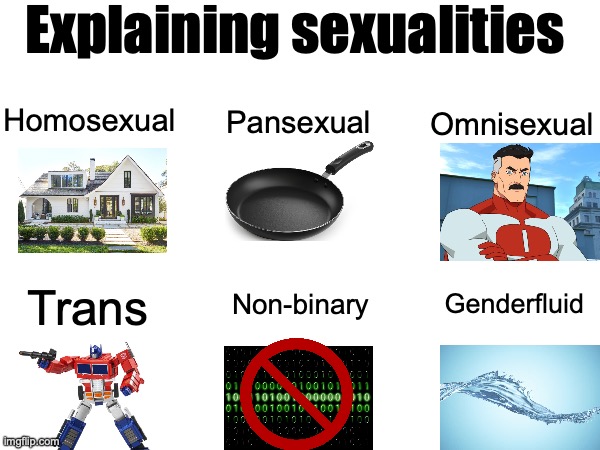 Ts in a nutshell | Explaining sexualities; Homosexual; Pansexual; Omnisexual; Non-binary; Trans; Genderfluid | image tagged in homosexual,pansexual,omnisexual,trans,non binary,genderfluid | made w/ Imgflip meme maker