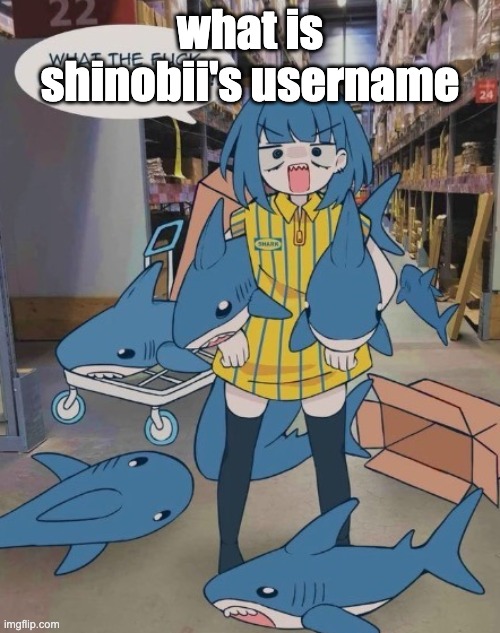 SCP 3008 | what is shinobii's username | image tagged in scp 3008 | made w/ Imgflip meme maker