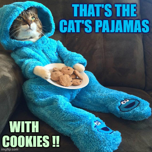 Cat's Pajamas | THAT'S THE
CAT'S PAJAMAS WITH
COOKIES !! | image tagged in cat's pajamas | made w/ Imgflip meme maker