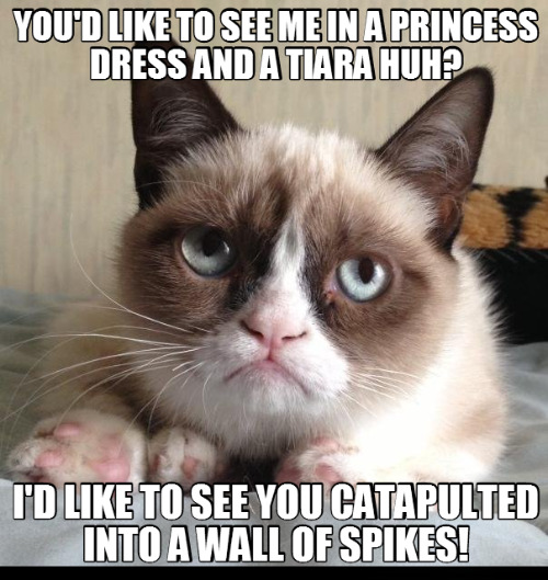 Princess Grump | image tagged in cats,funny cat memes,fun,grumpy cat,your demise,princess | made w/ Imgflip meme maker