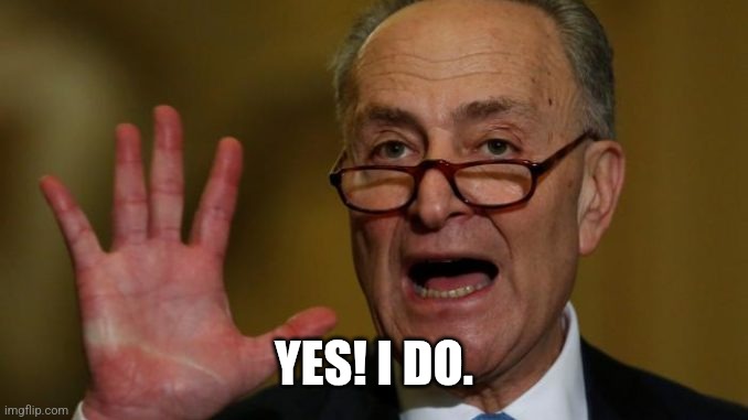 Chuck Schumer | YES! I DO. | image tagged in chuck schumer | made w/ Imgflip meme maker