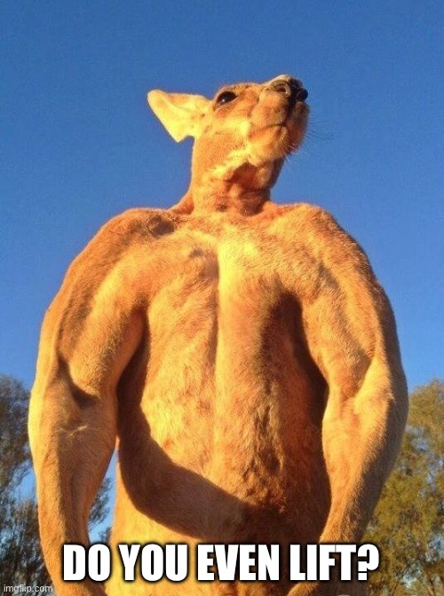 Kangaroo | DO YOU EVEN LIFT? | image tagged in do you even lift kangaroo,kangaroo | made w/ Imgflip meme maker