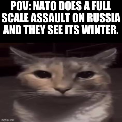 Yeah | POV: NATO DOES A FULL SCALE ASSAULT ON RUSSIA AND THEY SEE ITS WINTER. | image tagged in russia,cat,nato,winter,shadow | made w/ Imgflip meme maker