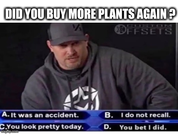 Plants again | DID YOU BUY MORE PLANTS AGAIN ? | image tagged in plants | made w/ Imgflip meme maker