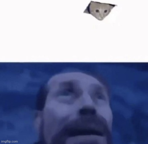 pov: you discovered the memecat feature in memechat | made w/ Imgflip meme maker