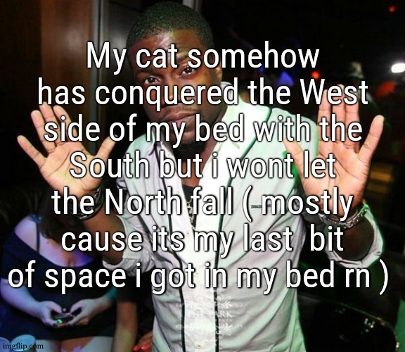btw goddam it feels super duper hot in my room for some reason | My cat somehow has conquered the West side of my bed with the South but i wont let the North fall ( mostly cause its my last  bit of space i got in my bed rn ) | image tagged in kevin hart hands up | made w/ Imgflip meme maker