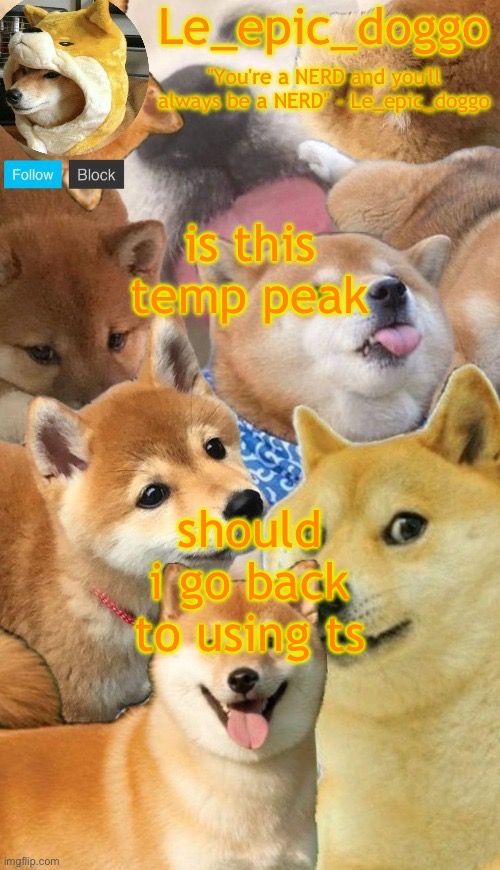 doggo temp by corpse and not doggo haha noob | is this temp peak; should i go back to using ts | image tagged in doggo temp by corpse and not doggo haha noob | made w/ Imgflip meme maker