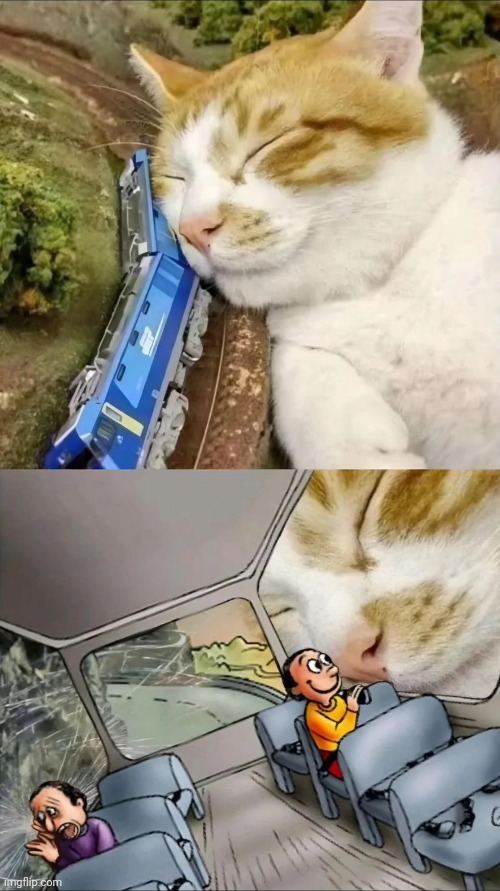 image tagged in memes,msmg | made w/ Imgflip meme maker