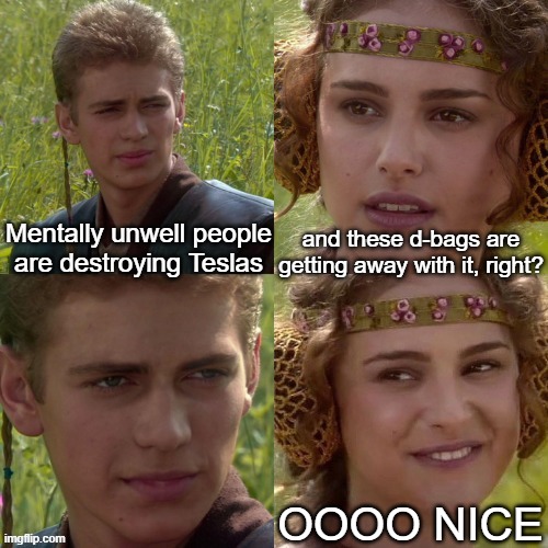 Easily Caught | and these d-bags are getting away with it, right? Mentally unwell people are destroying Teslas; OOOO NICE | image tagged in anakin padme 4 panel alternate | made w/ Imgflip meme maker